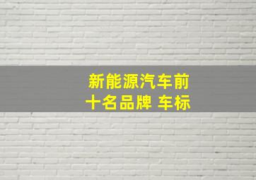 新能源汽车前十名品牌 车标